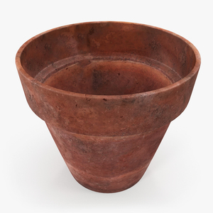 3D model Terracotta Plant Pot