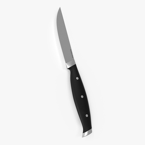 Classic Steak Knife 3D model