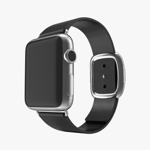 Apple Watch 38mm Steel Case with Black Modern Buckle 3D