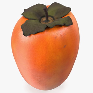 3D Hachiya Persimmon Fruit model