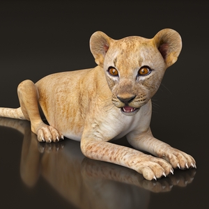 3D model Lion Cub Rigged