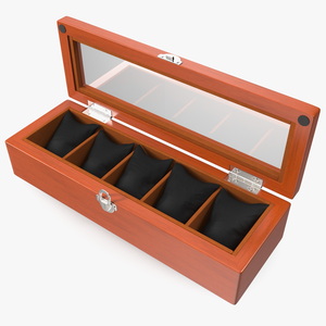 Slim Watch Display Box 3D