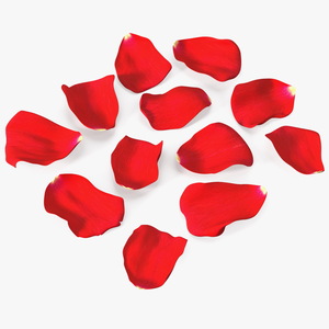 3D model Rose Petals Red