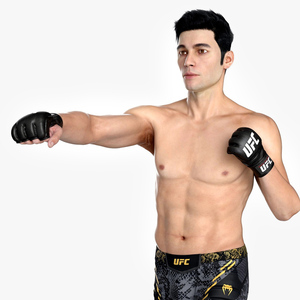 UFC MMA Fighter in Kicking Stance Fur 3D