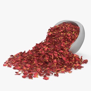 Dried Rose Petals Scattered from a Bowl 3D model