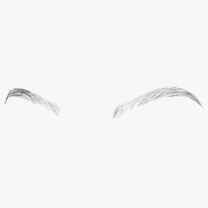 3D Rounded Brows model