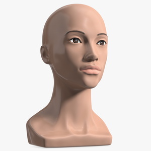 Nude Plastic Female Mannequin Head 3D model