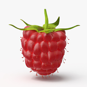 Red Ripe Raspberry with Fur 3D