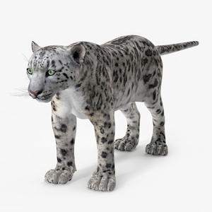 Snow Leopard 3D