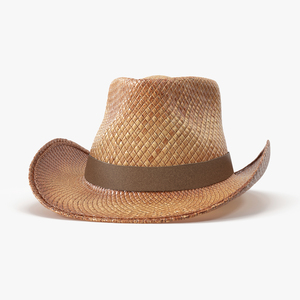 3D Straw Cowboy Hat