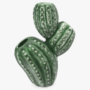 3D Cactus Vase