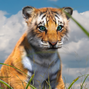 3D model Tiger Cub Fur Rigged