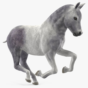 Running Shetland Pony White 3D