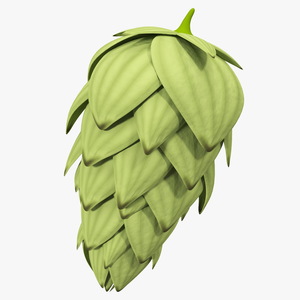 3D model Hop Cone