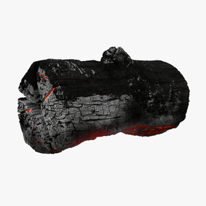 3D Charred Log 2 model