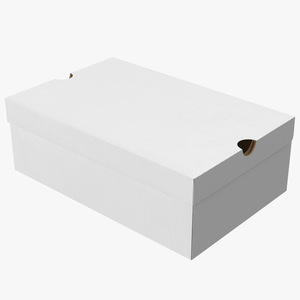 3D Shoes Packaging Box Closed