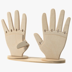 3D model Counting Hands Four Fingers Up