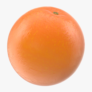 3D Whole Ripe Orange Fruit model