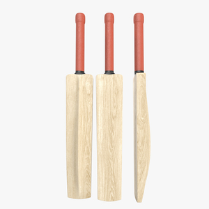 3D Cricket Bat