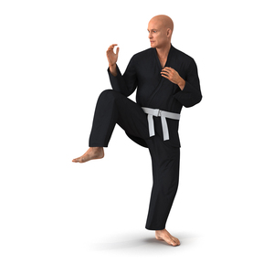 Karate Fighter Pose 3 Black Suit 3D