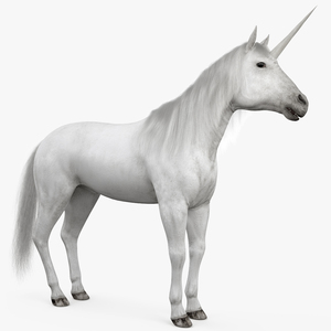 White Unicorn with Fur 3D