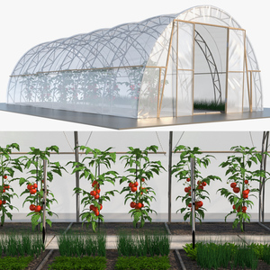 3D Greenhouse Tent with Vegetables