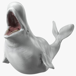 3D Beluga Whale Adult Playful Pose