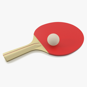 3D model Ping Pong Paddle and Ball