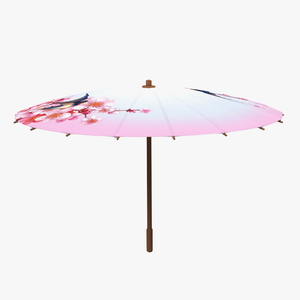 3D Traditional Chinese Umbrella model