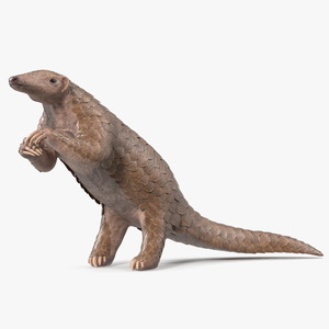 3D model Realistic Pangolin in Standing Pose