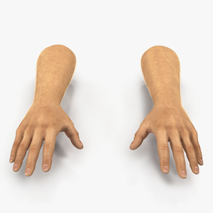 3D model Man Hands 2 with Fur