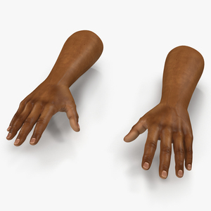 African Man Hands 3 3D model