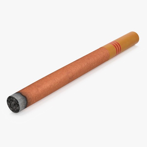 3D model Lighted Cigar with Filter