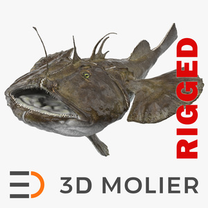 Angler Rigged for Cinema 4D 3D