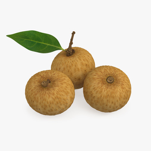 3D model Tropical Fruit Longan Set