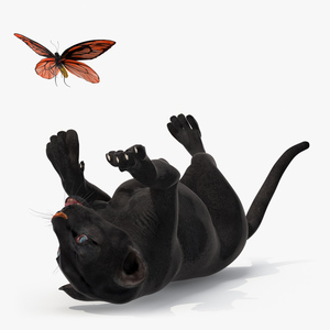 3D model Playful Black Panther Cub with Butterfly