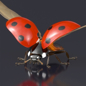 Ladybug with Wings Spread Fur 3D model