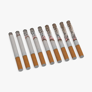 Smoldering Cigarette Set 3D model