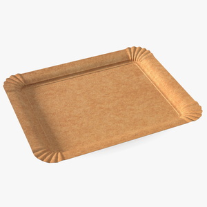 Brown Rectangle Paper Plate 3D