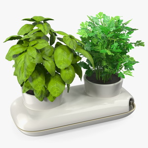 Herbs in Sagaform Double Pot White 3D model