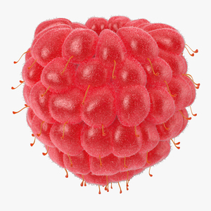 3D model Raspberry 4 with Fur