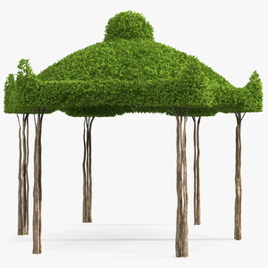 3D Garden Twig Gazebo model