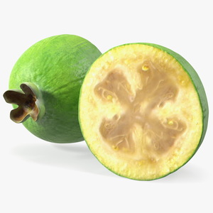 Feijoa Fruit Halves 3D model