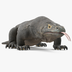 3D model Komodo Dragon Rigged