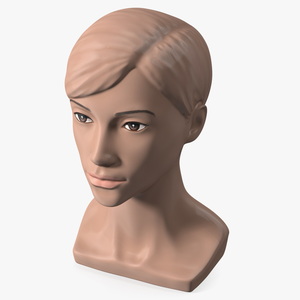 Plastic Female Mannequin Head with Hair 3D model