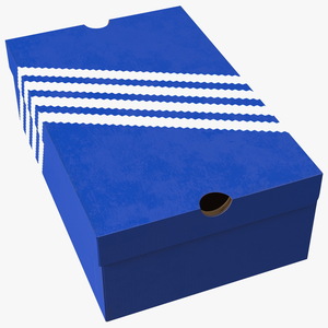 Carton Box for Shoes Closed 3D