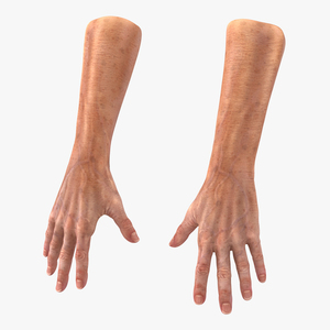 3D model Old Man Hands 2