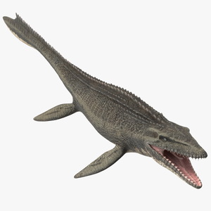 Mosasaurus Rigged 3D