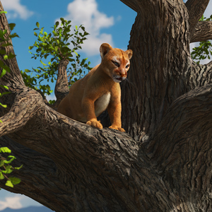 3D Puma Cub on Ancient Twisted Tree Fur