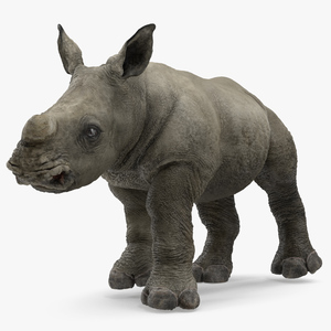 3D Baby Rhino Fur Rigged